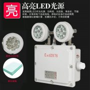 防爆应急照明 安全出口指示灯